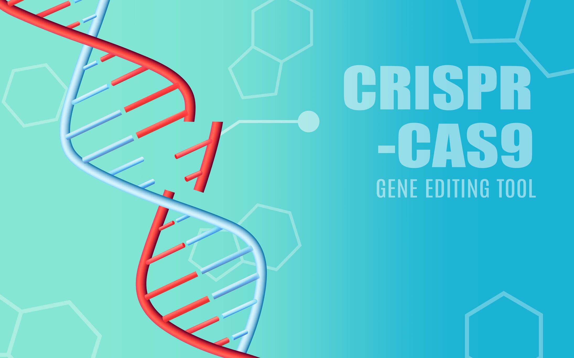 CRISPR-advance-for-Bifidobacteria-creates-next-gen-probiotics-opportunities.jpg