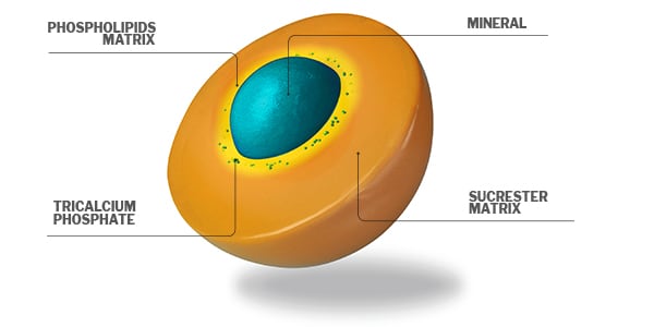 apportal_sucrosome_600x300px.jpg