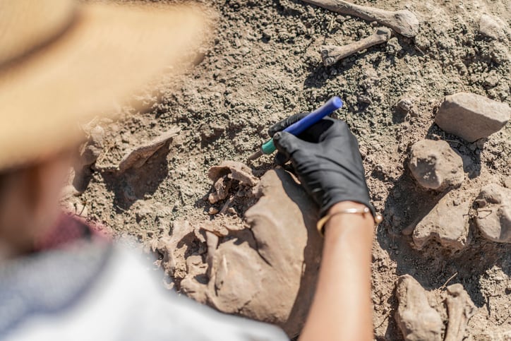Ancient microbial species never seen before discovered in paleofeces 