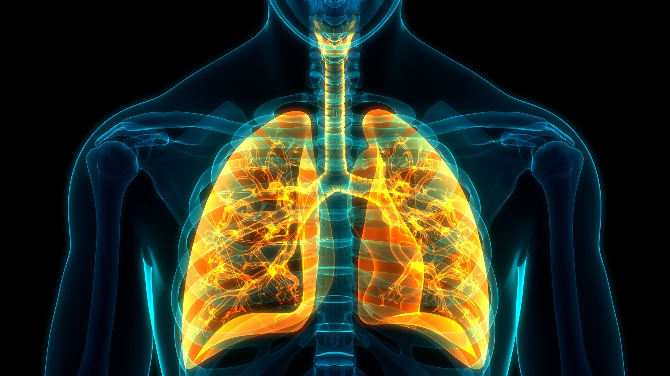 Gut-lung axis: Trial supports safety & efficacy of probiotics + herbal blend for lung health