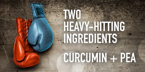 gencor-article-two-ingredients-600x300.jpg