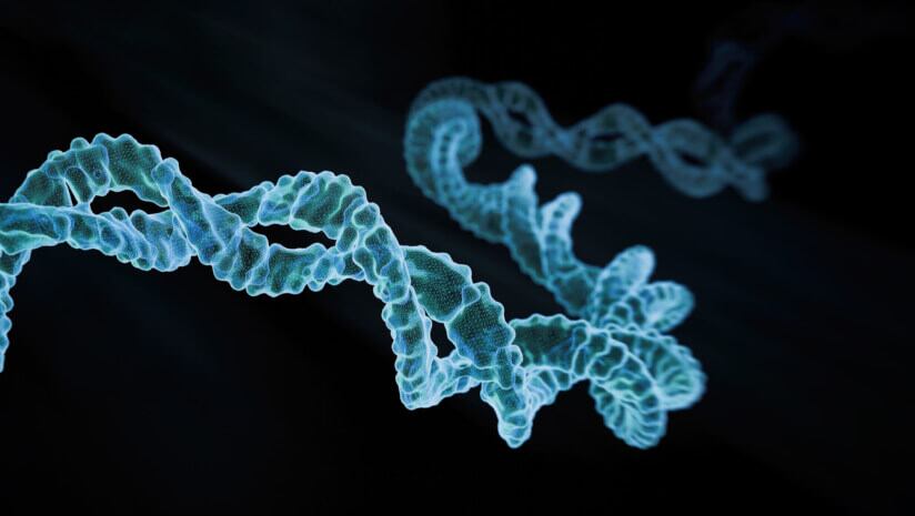 The science-backed at-home test that decodes the body's biological signals to give precision health insights.