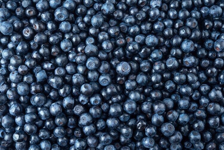 Compound found in blueberries linked to increased physical activity in mouse study