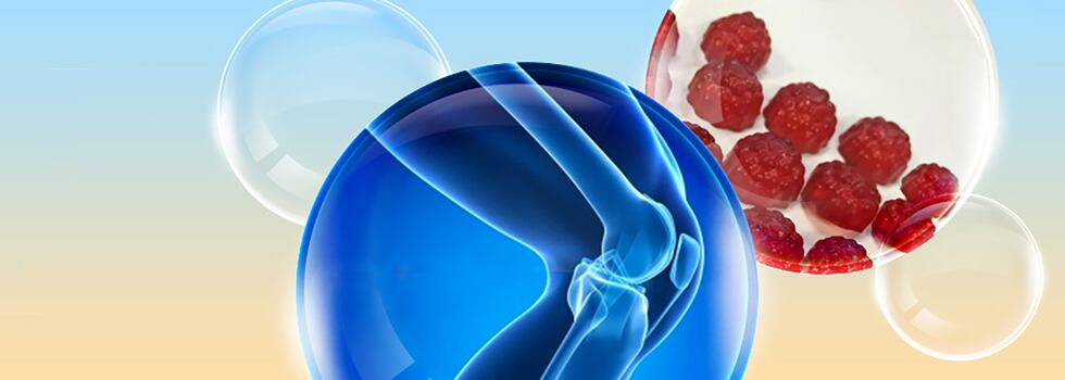 How-IRI-scan-data-show-UC-II-can-drive-joint-health-supplement-growth.jpg
