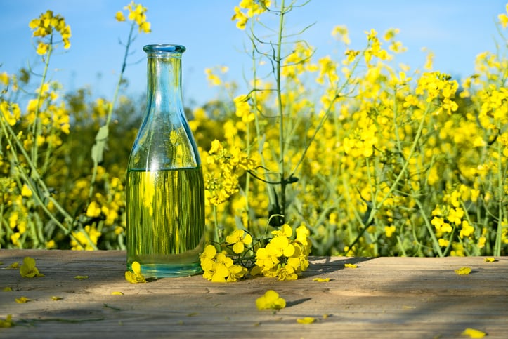 Rapeseed: An untapped protein source