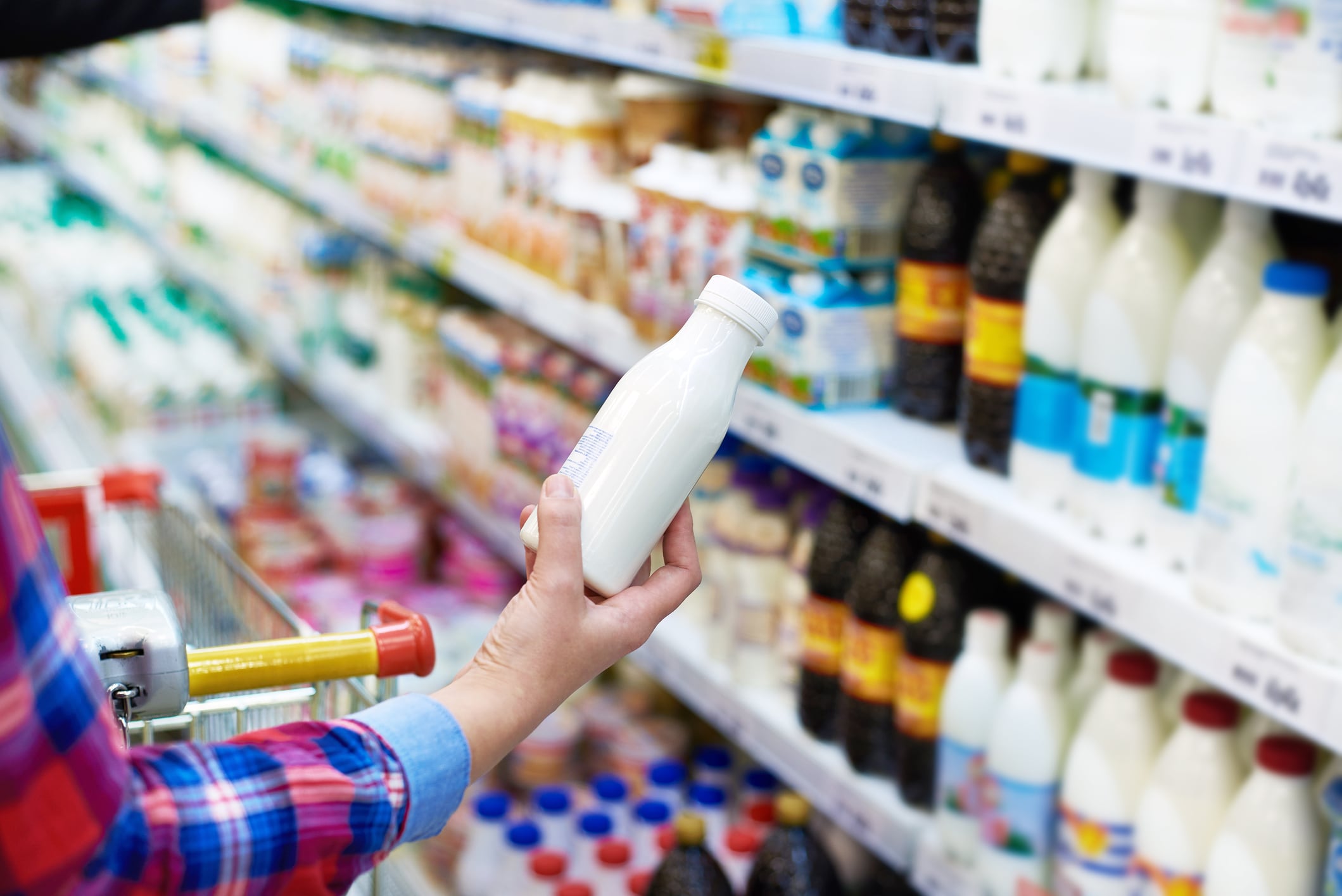 Functional-foods-Latin-America-prebiotics-and-probiotics-growth-potential.jpg