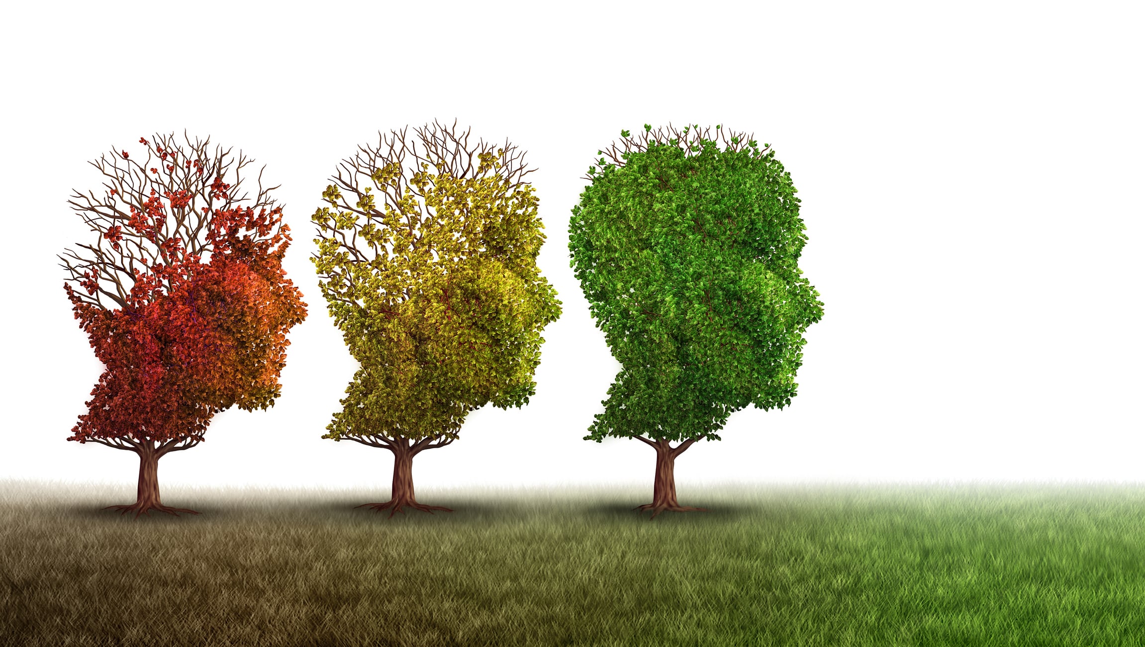 losing-brain-function-C-wildpixel-Getty-Images.jpg