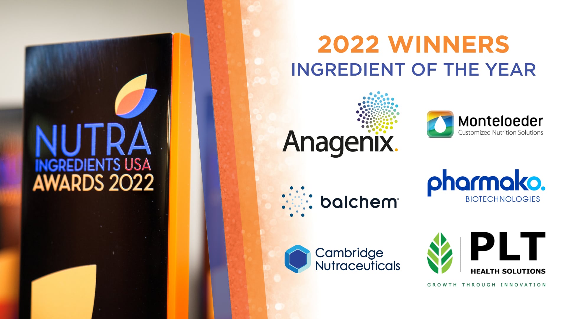 NutraIngredients-USA-Awards-Meet-the-Ingredients-of-the-Year.png