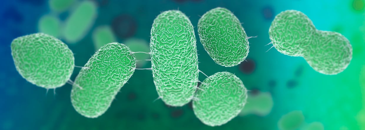 WATCH: Next-gen probiotic fills need for novel solutions for gut and metabolic health 