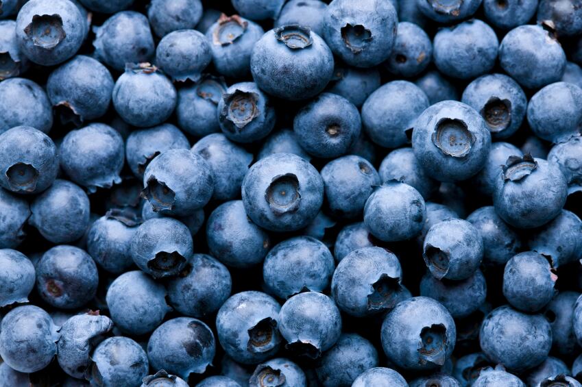blueberries-2.jpg