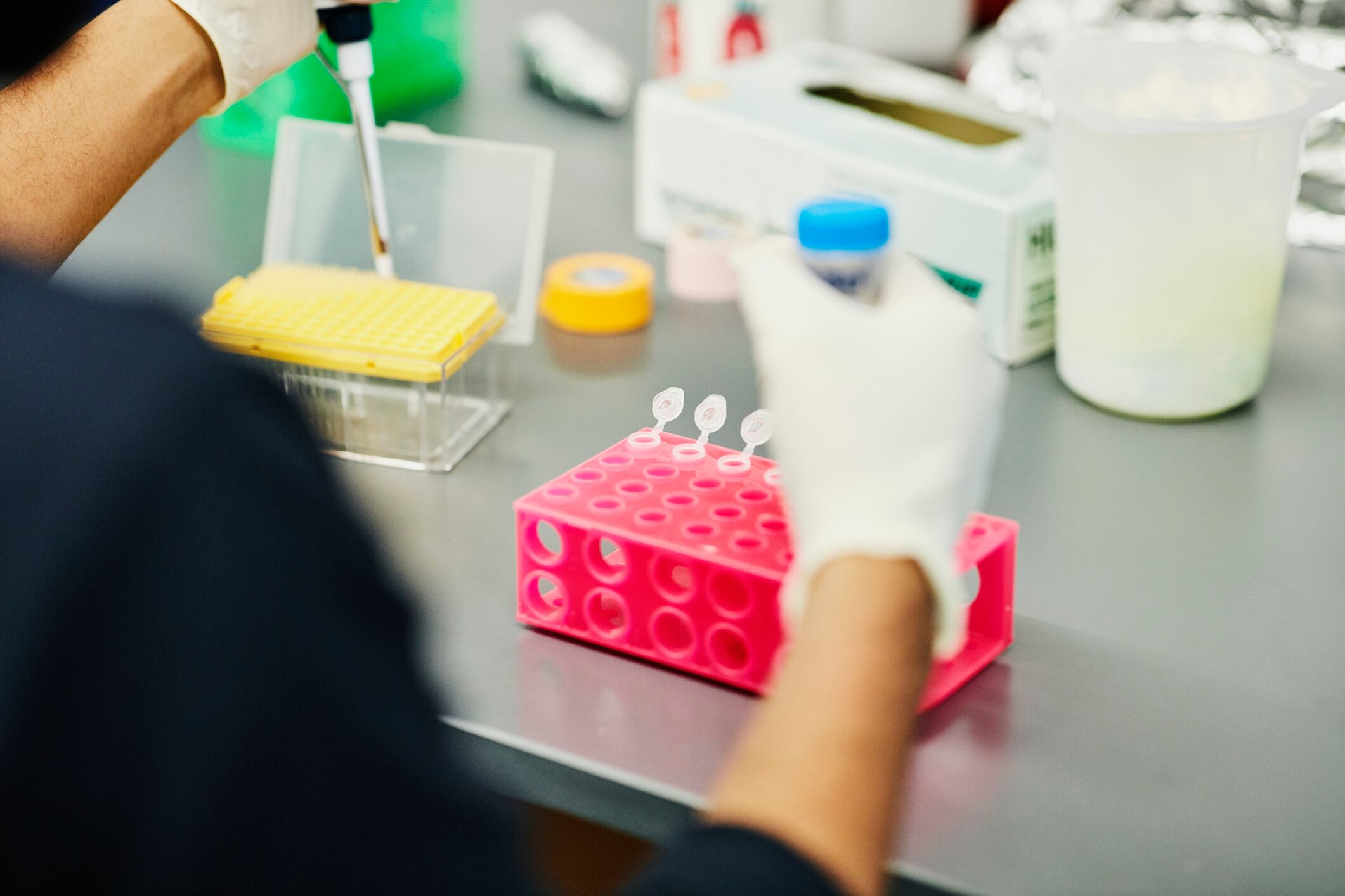 Analysis raises concerns over environmentally persistent ingredients in dietary supplements