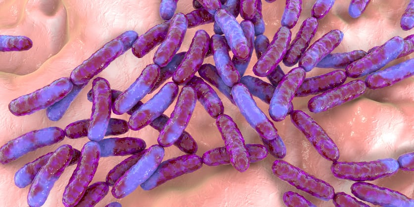 GanedenBC30-lands-probiotic-claims-in-Australia-and-New-Zealand.jpg