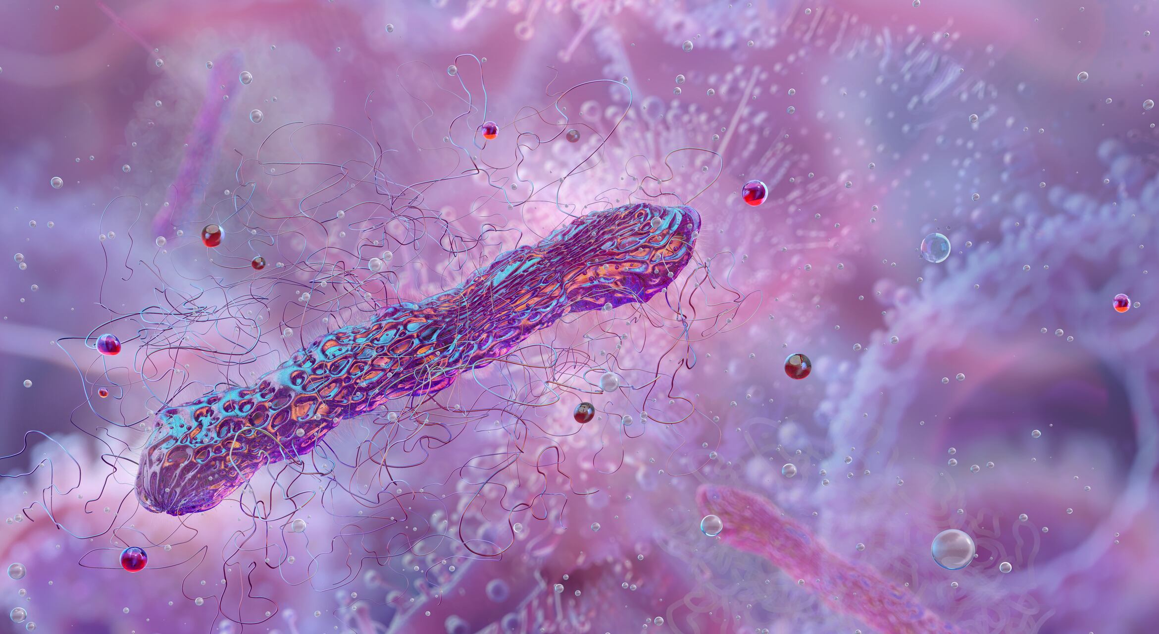 EFSA confirms safety of novel Clostridium probiotic strain