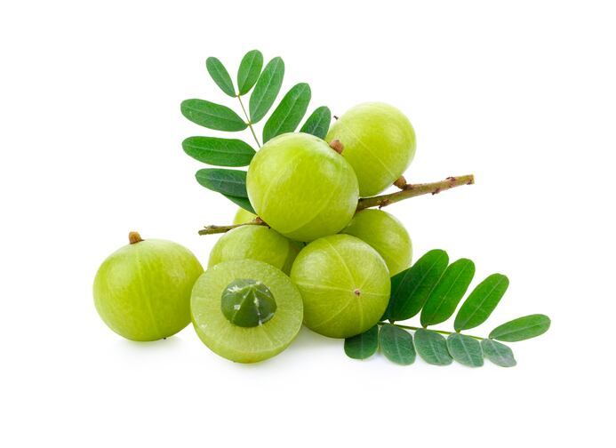 Sabinsa study elucidates blood sugar benefits of amla ingredient