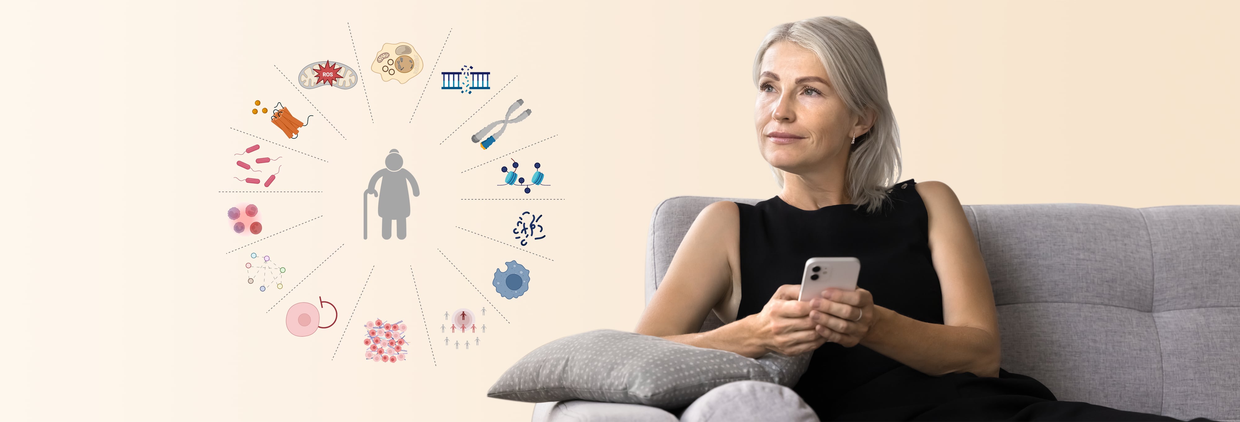 The 14 hallmarks of aging and why the focus is on ovarian health