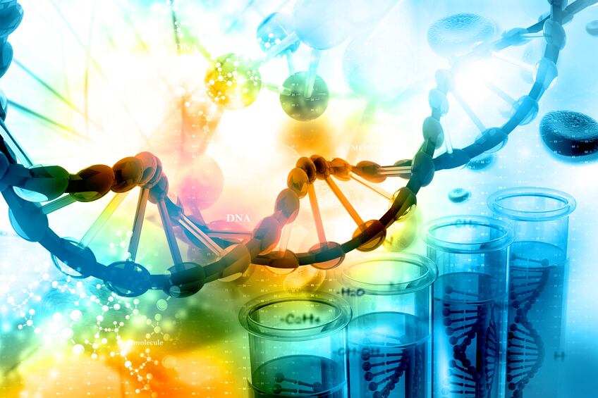 Study offers more evidence for personalised diets, even with identical twins