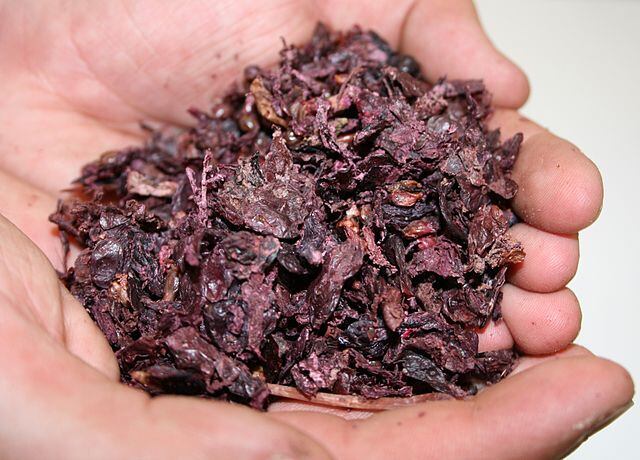 640px-Handful_of_Barossa_Valley_red_grape_marc.jpg