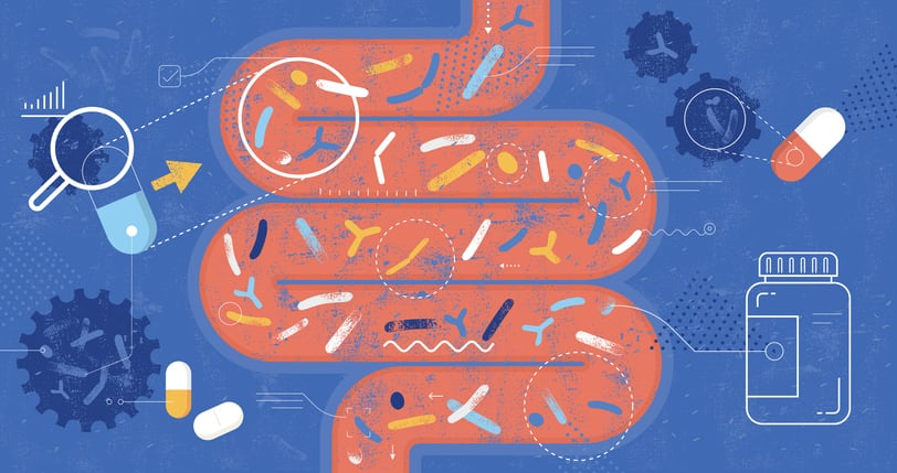 Study: Combination of probiotics and enzymes aids absorption of plant-based protein