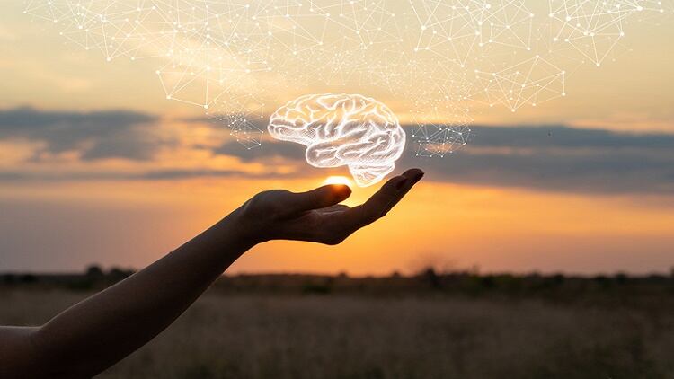 Cognition-and-ageing-B-vitamins-omega-3-intake-reduces-decline-in-East-Asian-elderly-meta-analysis.jpg