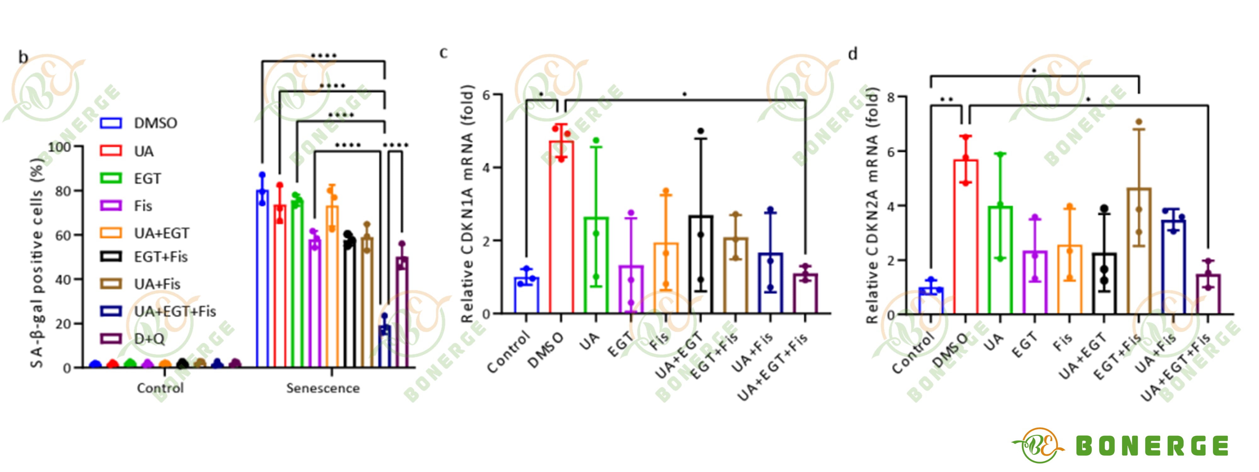 Figure 1: Comparison of SA-β-Gal positive senescent cell counts and senescence-associated gene expression data.