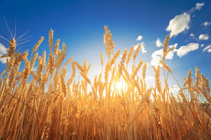 NAD rules some Benefiber prebiotic supplements can’t be called ‘natural’
