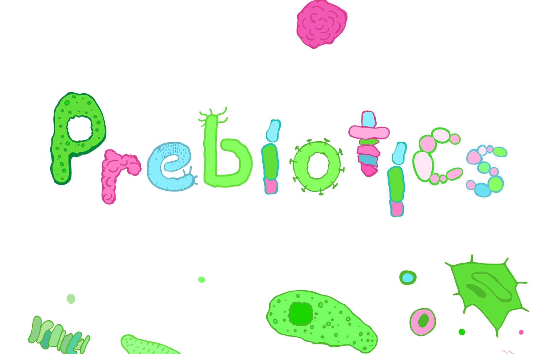 ‘Intriguing’: Prebiotics may protect against detrimental effects of early life stress