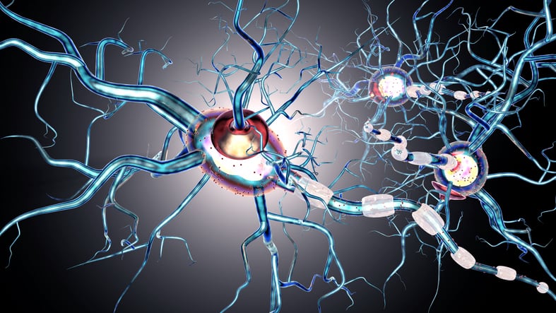 Novel study confirms link between specific bacteria and neurodegenerative diseases