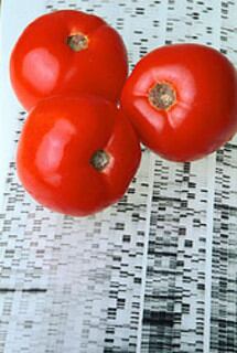 personal-nutrition2.jpg