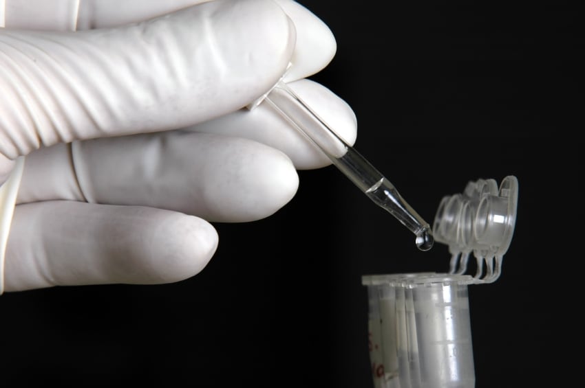 research-study-lab-blood-sample-iStock.com-luchschen.jpg