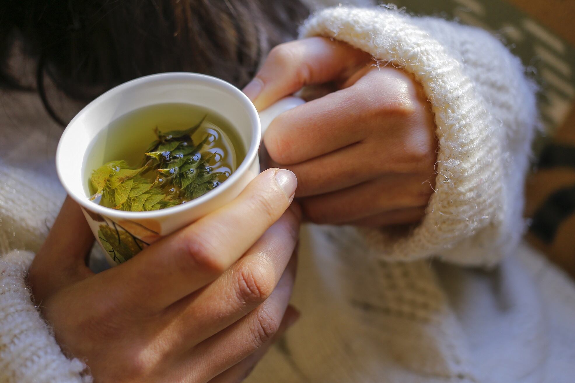 Pharmactive reveals edible botanical complex for immunity
