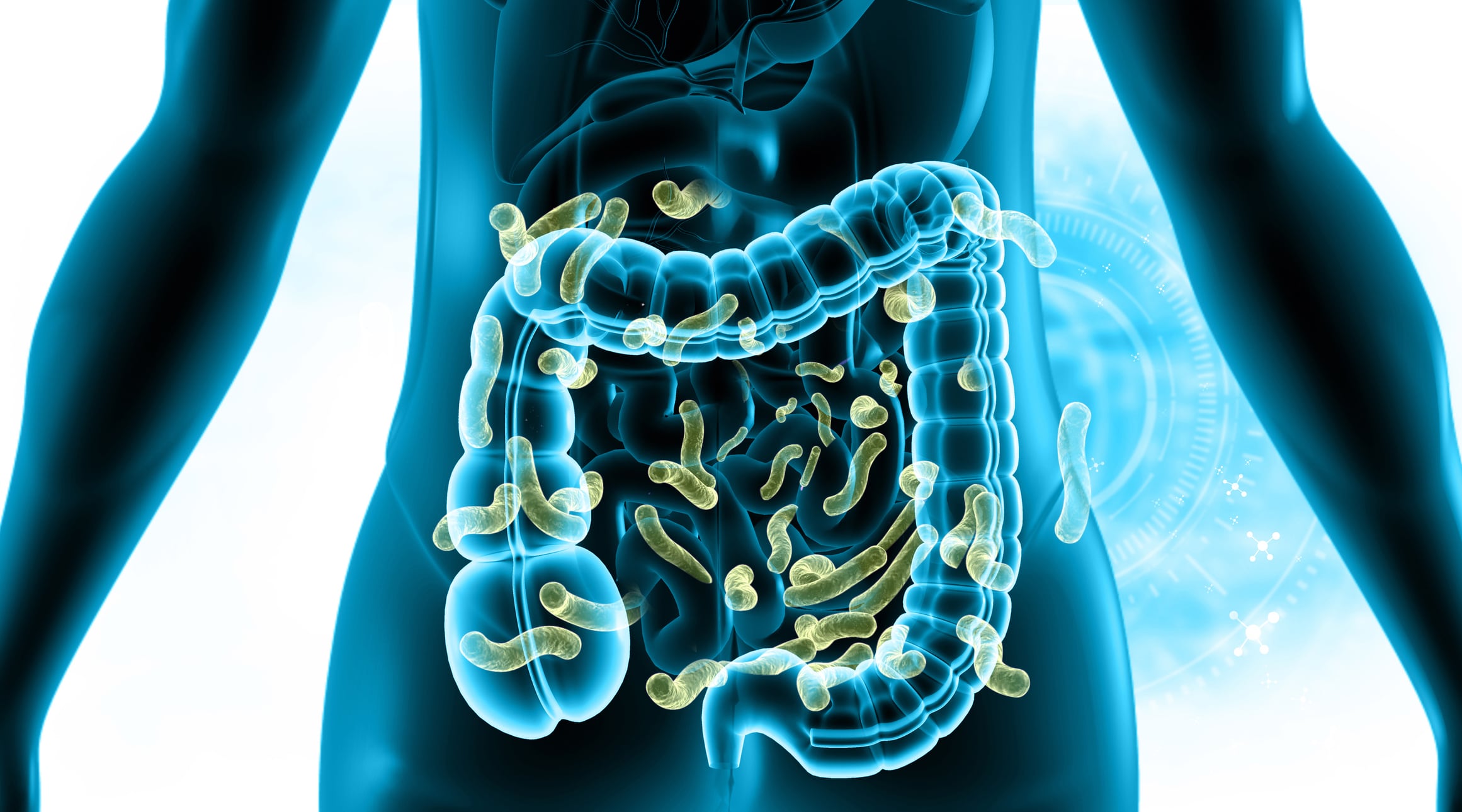 Developing detox probiotics: Scientists work to undo global damage of ‘forever chemicals’