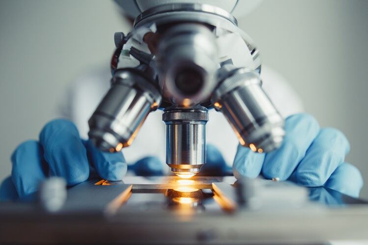 DuPont study finds link between higher dose of multiple probiotics and better colonization