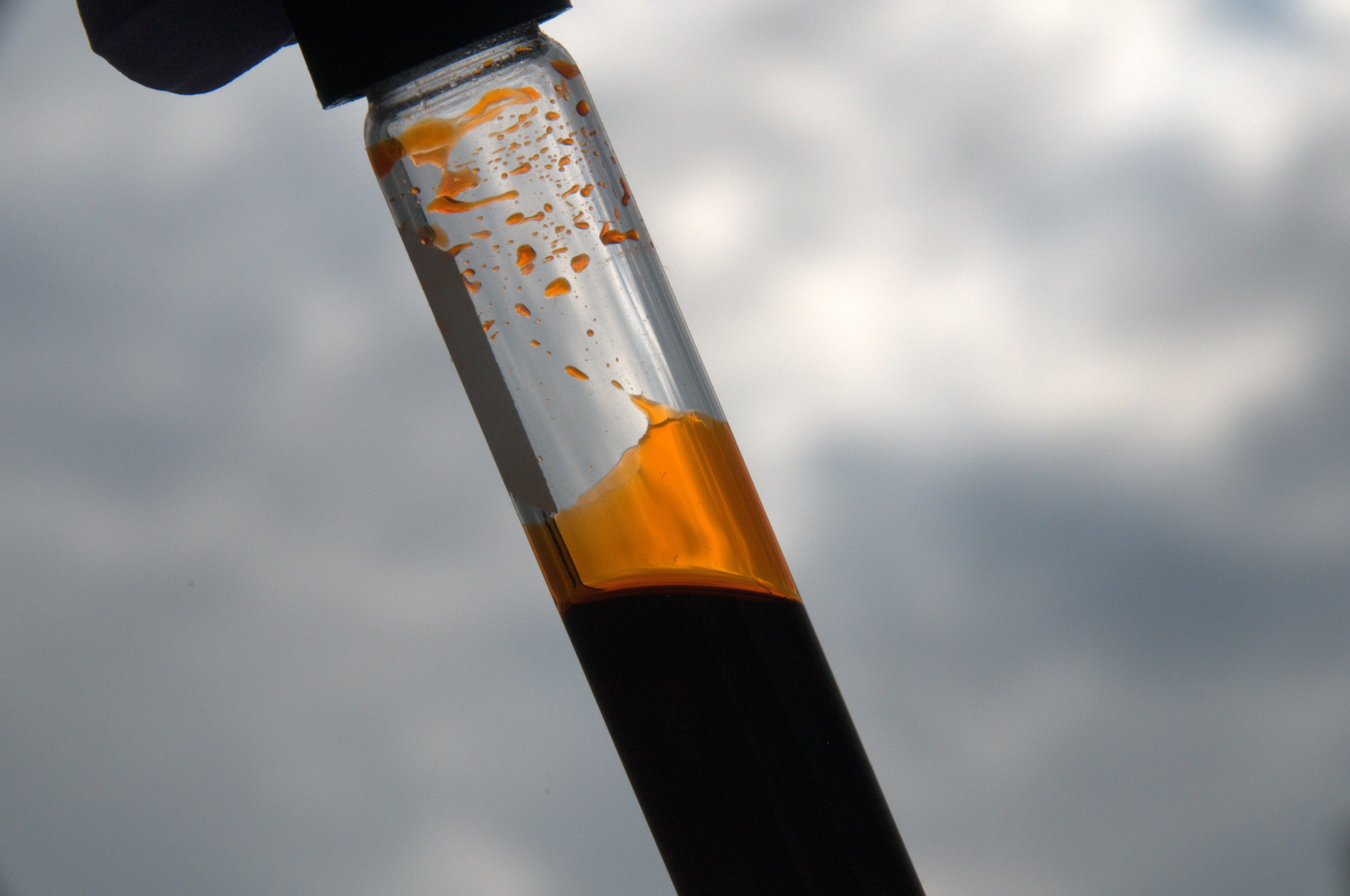 Solasta-Astaxanthin.jpg