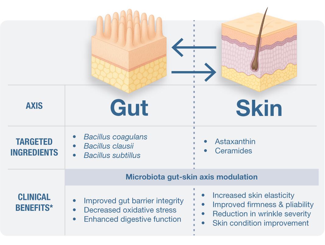 Biotical GS gut axis diagram