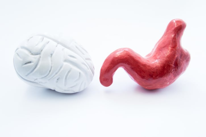 Psychobiotics show promising avenue for mood support and beyond