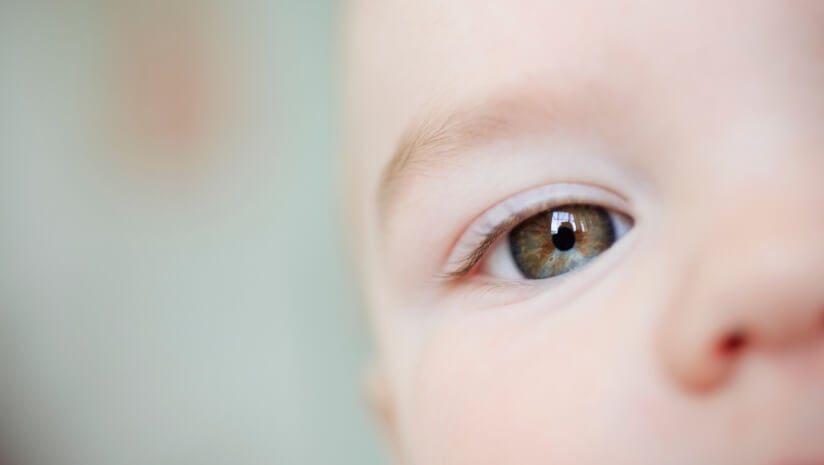 FDA clears OmniActive’s Lutemax Free Lutein for infant formula