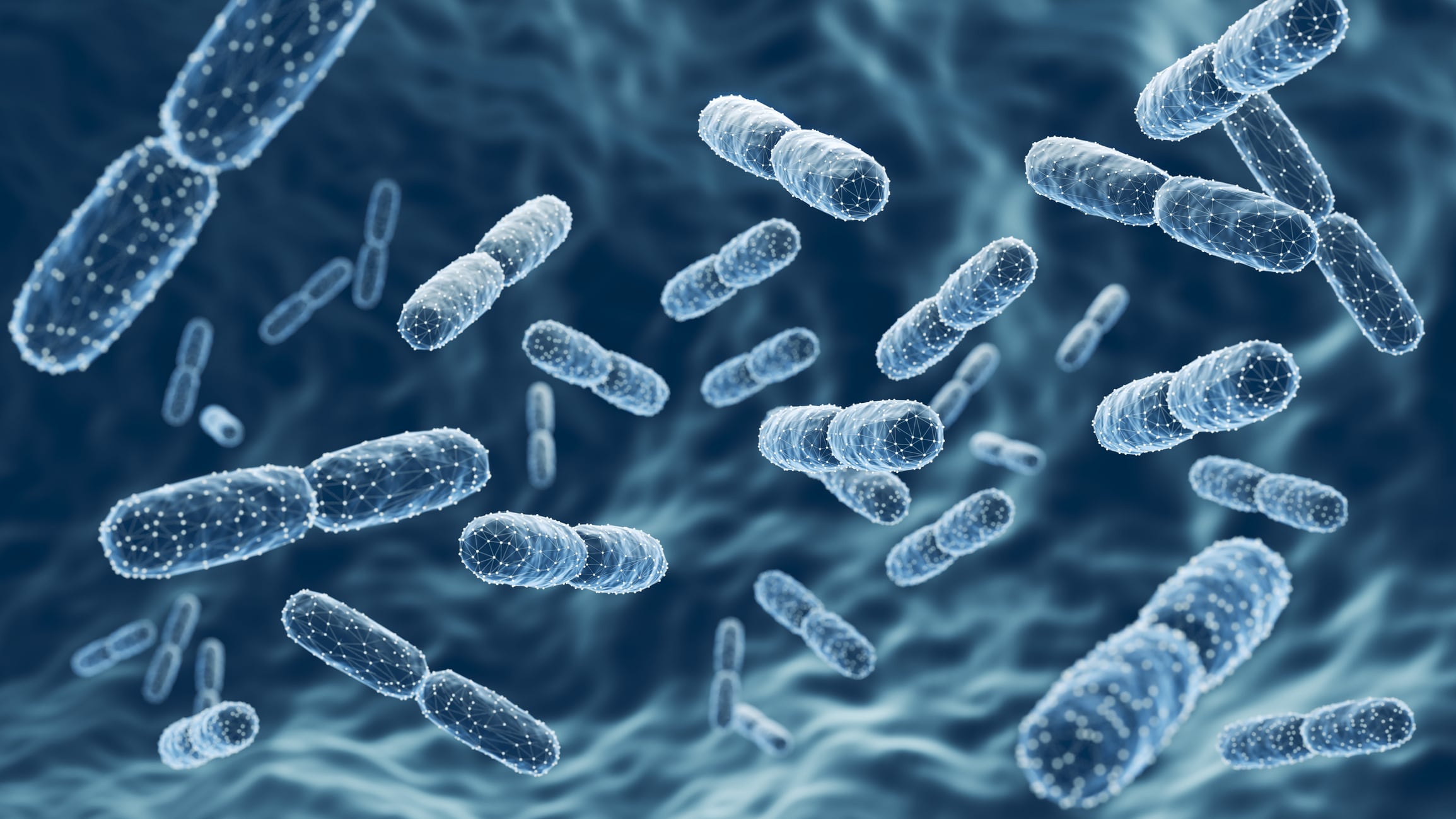 Probiotic bacteria, Lactobacillus , 3d illustration.
