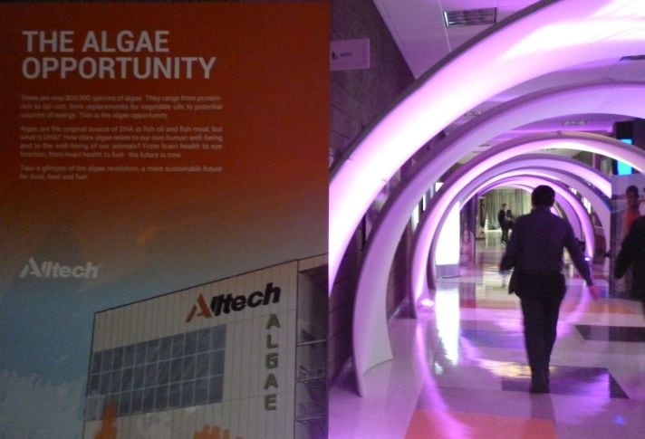 Alltech-algae-opportunity.jpg