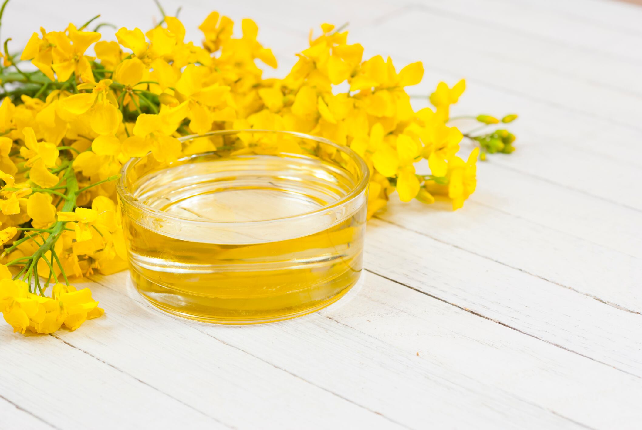 USDA approves Nufarm/Nuseed's plant-based long-chain omega-3; FDA approval still to follow