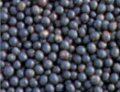 acai.jpg