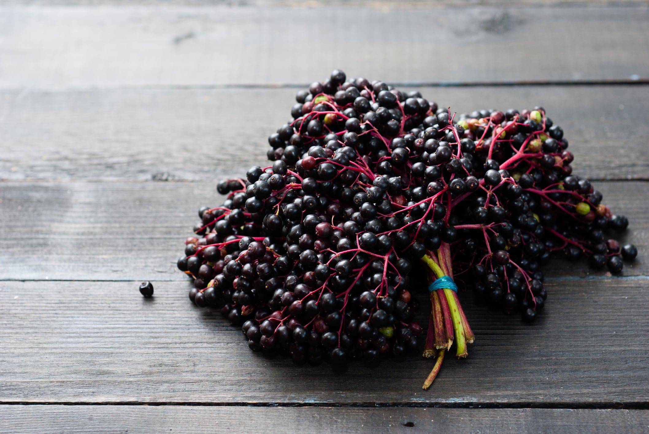 Elderberry supplement sales skyrocketed to $320 million in 2020: ABC report