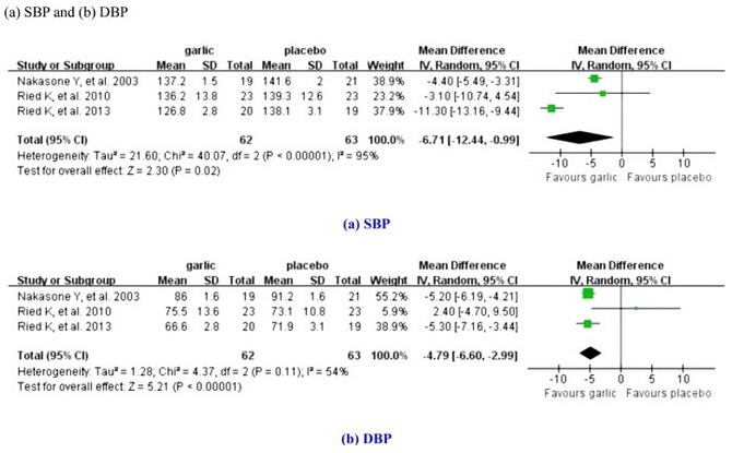 garlic-meta-analysis-Elsevier.jpg