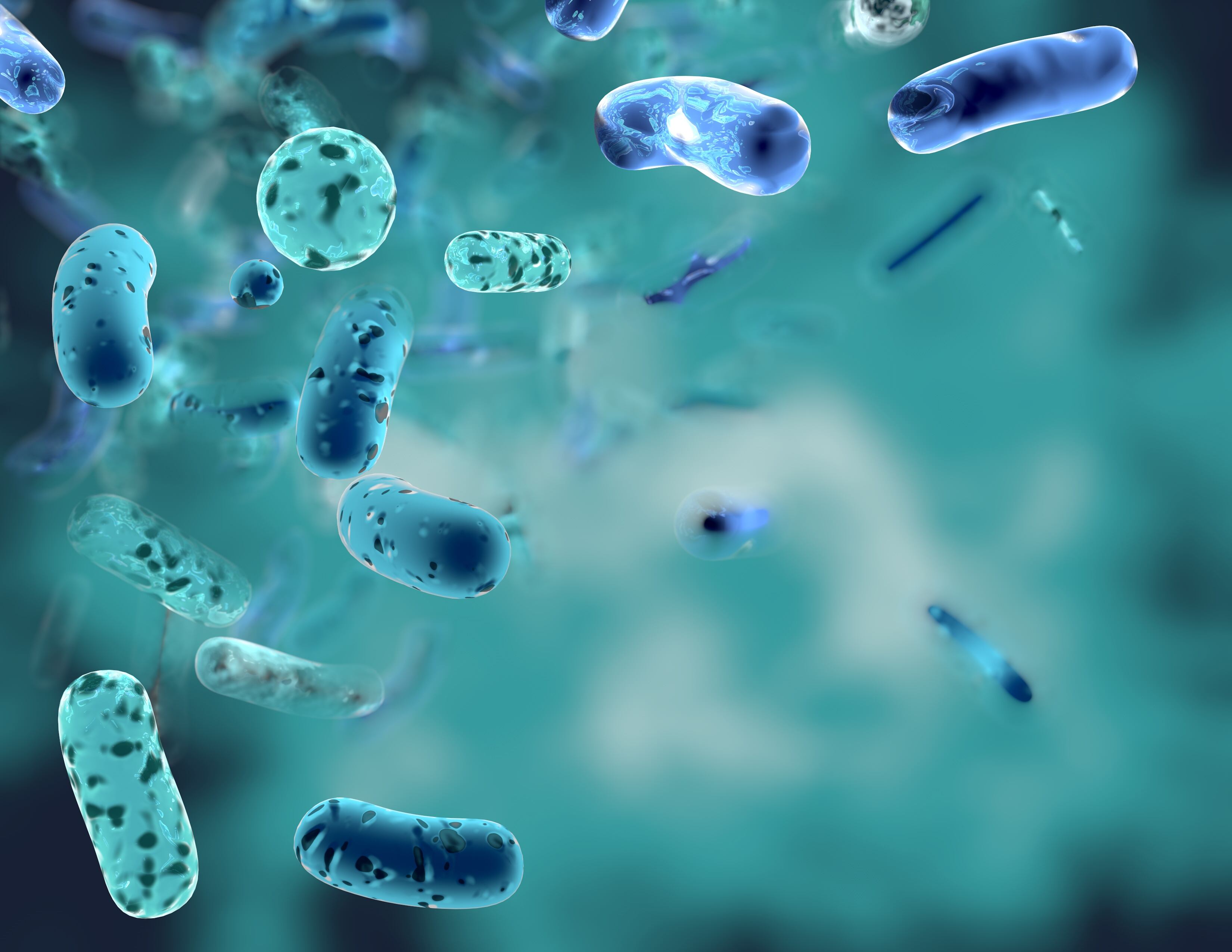 Kaneka Probiotics launches L. plantarum DR7 for immune support
