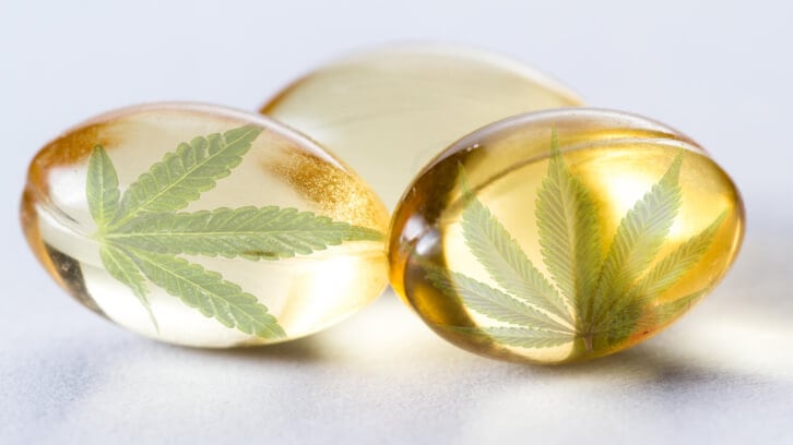 New tox study validates safe upper dose for cbdMD’s Broad Spectrum CBD blend