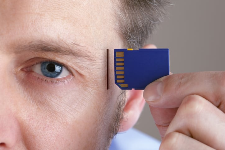Polyphenols from grape and blueberry show promise as effective nootropic ingredients 