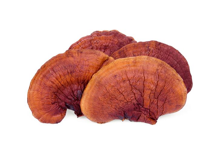 ENI, Nammex seek to ride mushroom wave with new line of formulated products