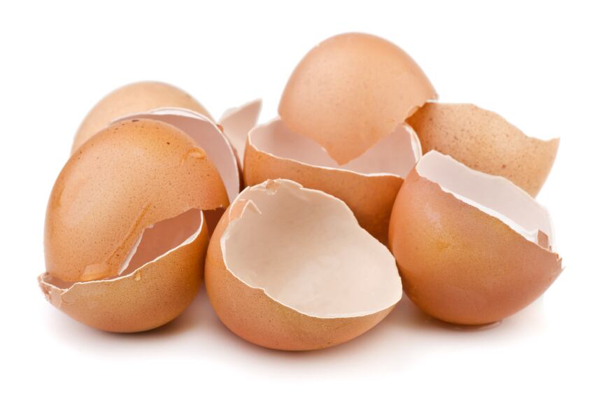 Biova secures ‘first of a kind’ EU approval for eggshell membrane