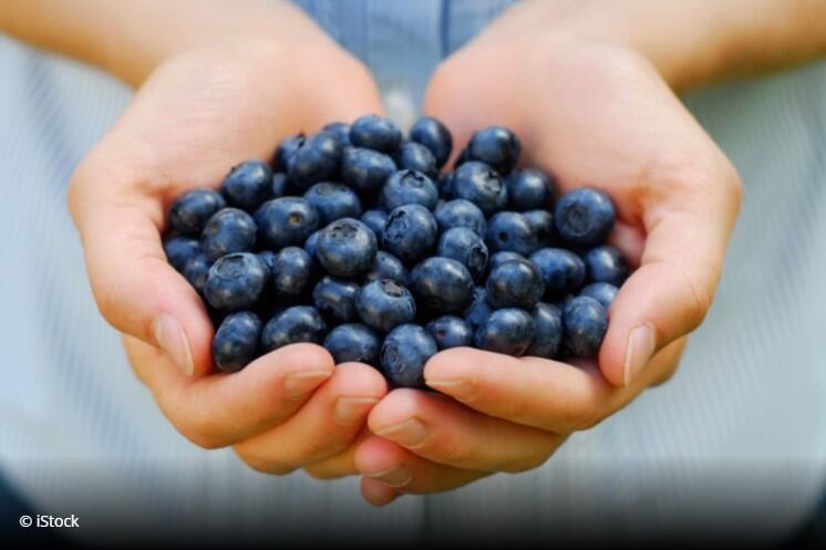 Milk protein may act as effective delivery vehicle for blueberry nutrients 