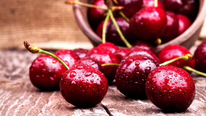 Dark sweet cherry supplement improved gut microbiota in obese people