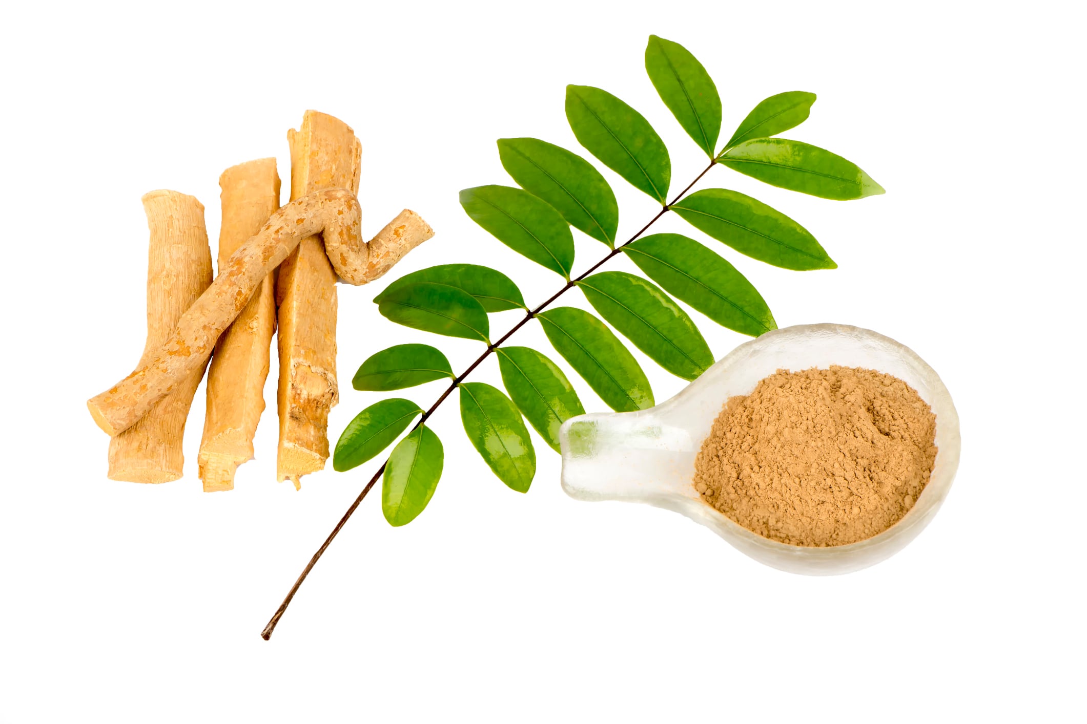 Tongkat Ali plus multivitamin may improve mood and stress response: Human data
